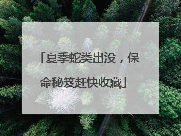 夏季蛇类出没，保命秘笈赶快收藏
