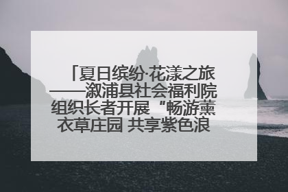 夏日缤纷·花漾之旅——溆浦县社会福利院组织长者开展“畅游薰衣草庄园 共享紫色浪漫”户外活动