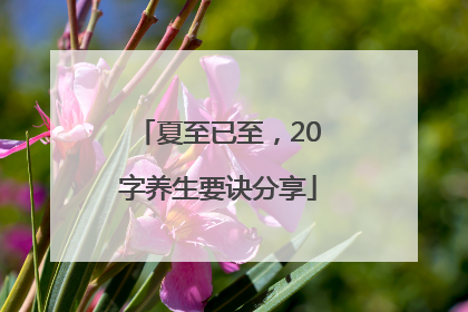 夏至已至，20字养生要诀分享