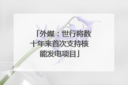 外媒：世行将数十年来首次支持核能发电项目