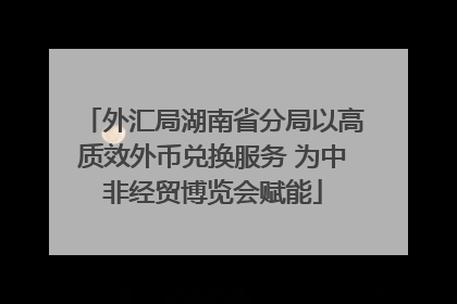 外汇局湖南省分局以高质效外币兑换服务 为中非经贸博览会赋能