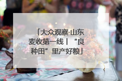 大众观察·山东麦收第一线丨“良种田”里产好粮