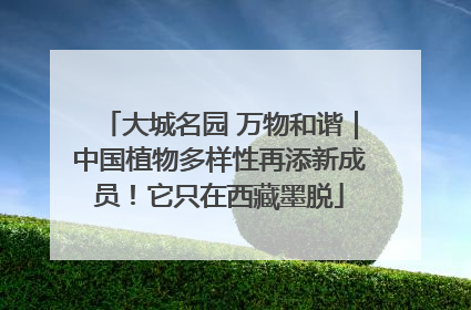 大城名园 万物和谐｜中国植物多样性再添新成员！它只在西藏墨脱