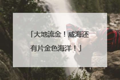 大地流金！威海还有片金色海洋！