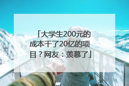 大学生200元的成本干了20亿的项目？网友：羡慕了