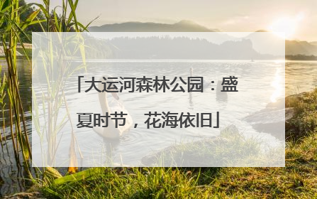 大运河森林公园：盛夏时节，花海依旧