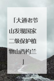 大通老爷山发现国家二级保护植物山西杓兰