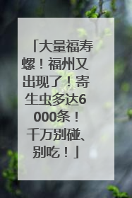 大量福寿螺！福州又出现了！寄生虫多达6000条！千万别碰、别吃！