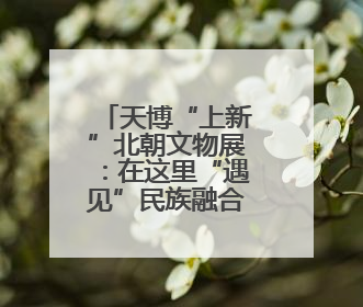 天博“上新”北朝文物展：在这里“遇见”民族融合大舞台