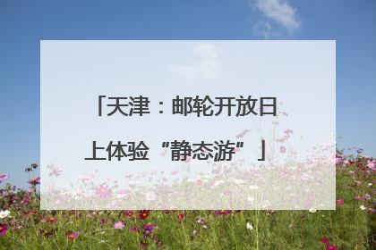 天津：邮轮开放日上体验“静态游”