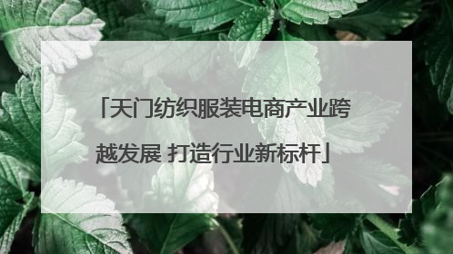天门纺织服装电商产业跨越发展 打造行业新标杆