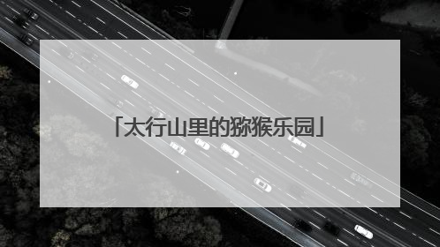 太行山里的猕猴乐园