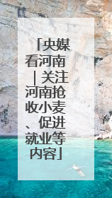 央媒看河南｜关注河南抢收小麦、促进就业等内容