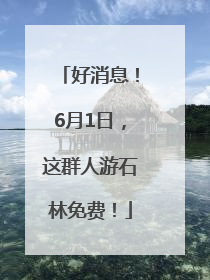 好消息！6月1日，这群人游石林免费！