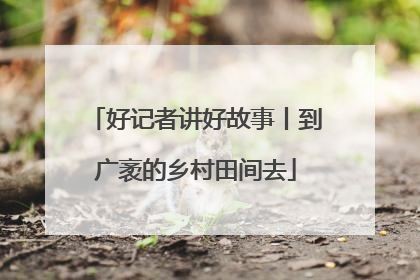 好记者讲好故事丨到广袤的乡村田间去