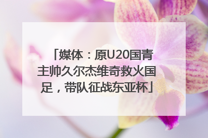 媒体：原U20国青主帅久尔杰维奇救火国足，带队征战东亚杯