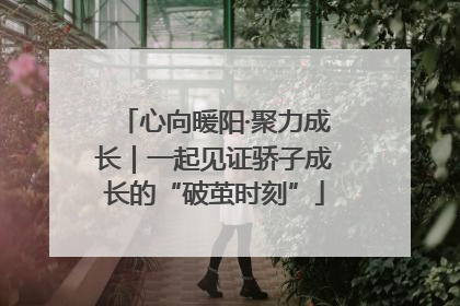心向暖阳·聚力成长｜一起见证骄子成长的“破茧时刻”