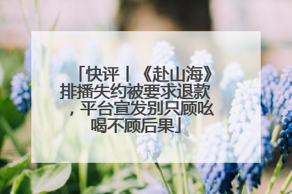 快评丨《赴山海》排播失约被要求退款，平台宣发别只顾吆喝不顾后果
