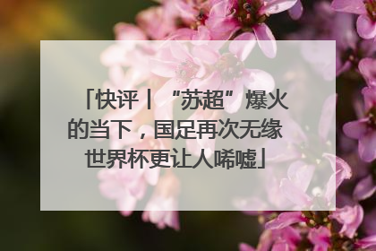 快评丨“苏超”爆火的当下，国足再次无缘世界杯更让人唏嘘