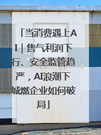 当消费遇上AI｜售气利润下行、安全监管趋严，AI浪潮下城燃企业如何破局