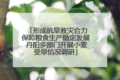 形成抗旱救灾合力 保障粮食生产稳定发展 丹阳多部门开展小麦受旱情况调研