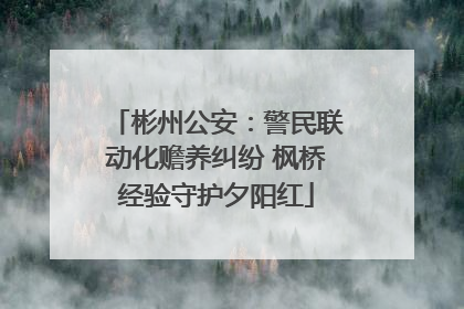 彬州公安：警民联动化赡养纠纷 枫桥经验守护夕阳红