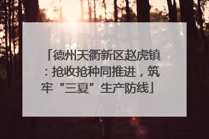 德州天衢新区赵虎镇：抢收抢种同推进，筑牢“三夏”生产防线