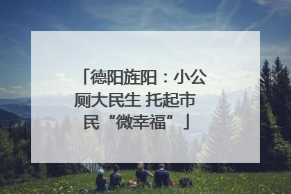 德阳旌阳：小公厕大民生 托起市民“微幸福”