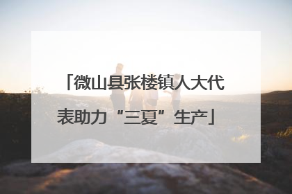 微山县张楼镇人大代表助力“三夏”生产