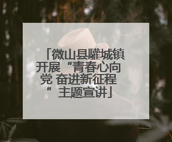 微山县驩城镇开展“青春心向党 奋进新征程”主题宣讲