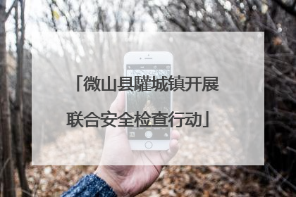 微山县驩城镇开展联合安全检查行动