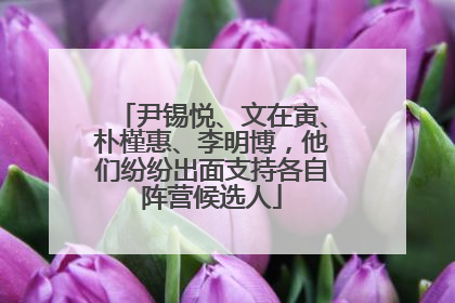 尹锡悦、文在寅、朴槿惠、李明博，他们纷纷出面支持各自阵营候选人