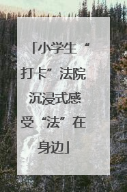 小学生“打卡”法院 沉浸式感受“法”在身边