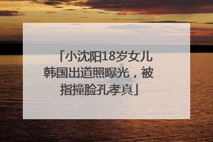 小沈阳18岁女儿韩国出道照曝光，被指撞脸孔孝真