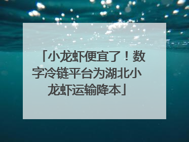 小龙虾便宜了！数字冷链平台为湖北小龙虾运输降本