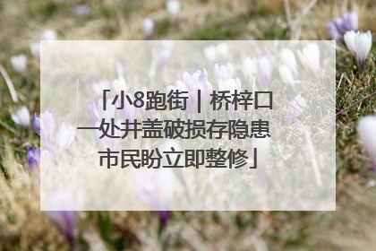 小8跑街｜桥梓口一处井盖破损存隐患 市民盼立即整修