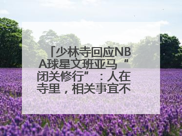 少林寺回应NBA球星文班亚马“闭关修行”：人在寺里，相关事宜不便公开