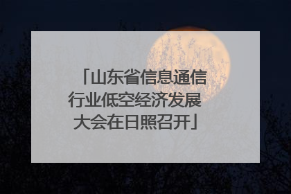 山东省信息通信行业低空经济发展大会在日照召开
