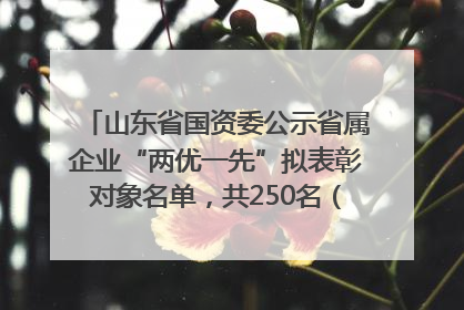 山东省国资委公示省属企业“两优一先”拟表彰对象名单，共250名（个）党员和党组织