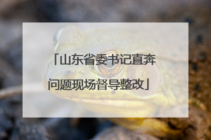 山东省委书记直奔问题现场督导整改