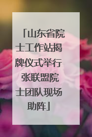 山东省院士工作站揭牌仪式举行 张联盟院士团队现场助阵