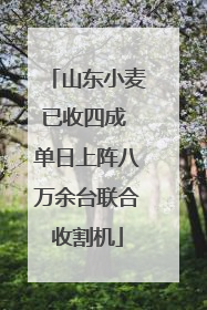 山东小麦已收四成 单日上阵八万余台联合收割机