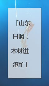山东日照：木材进港忙