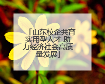 山东校企共育实用型人才 助力经济社会高质量发展