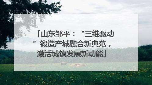 山东邹平：“三维驱动”锻造产城融合新典范，激活城镇发展新动能