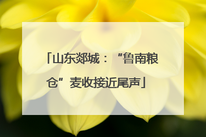 山东郯城：“鲁南粮仓”麦收接近尾声