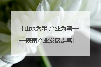 山水为墨 产业为笔——陕南产业发展走笔