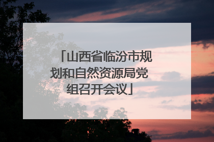 山西省临汾市规划和自然资源局党组召开会议