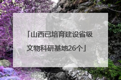 山西已培育建设省级文物科研基地26个