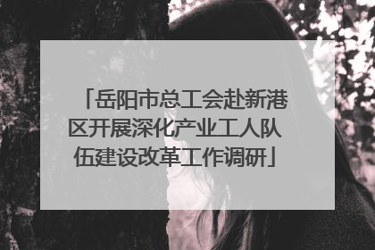 岳阳市总工会赴新港区开展深化产业工人队伍建设改革工作调研